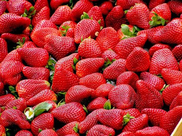 Best Things To Do In Austin Near Me 2020 Sweet Eats Fruit Farm