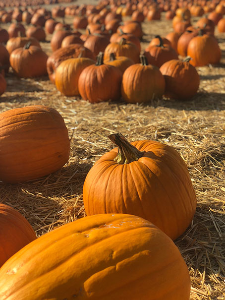 halloween activities near me central texas and austin texas