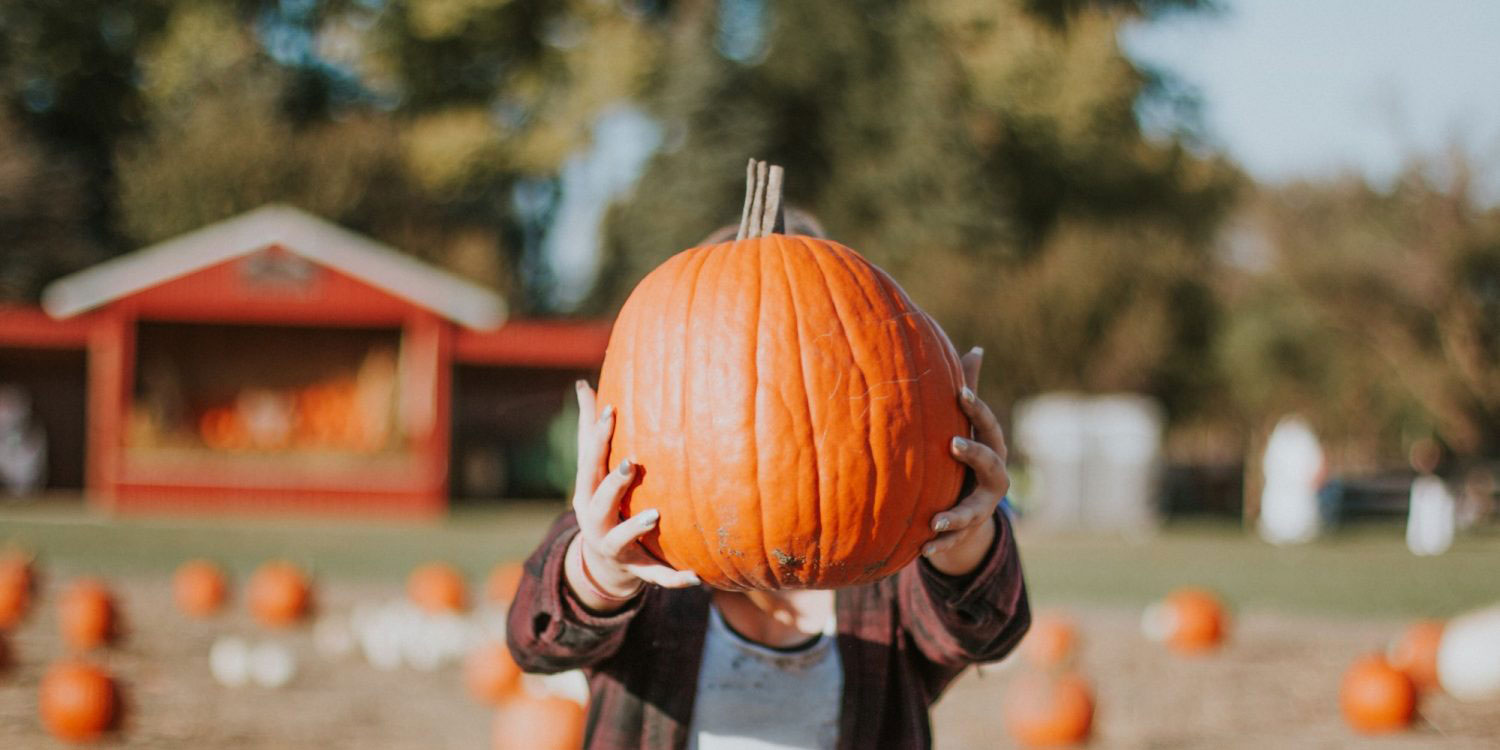 Pumpkin patch in Austin Texas