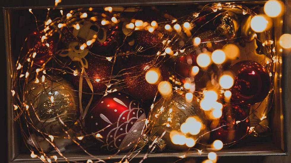 2020 Christmas Festival | Santa And Live Reindeer | Austin, Texas