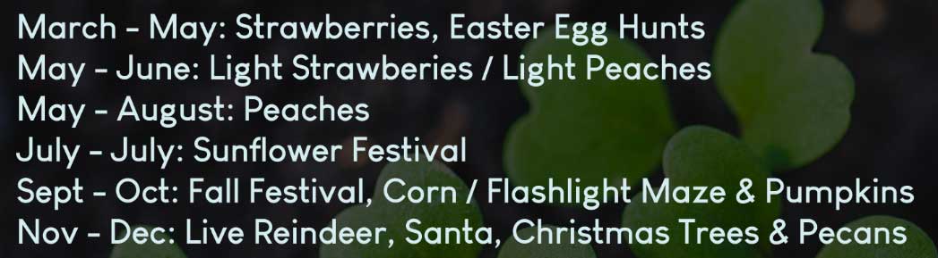 Fruit-Season