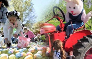easter-egg-hunts-near-austin-texas-family-fun-easter-activities-bunny