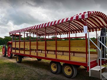 wagon-rides-near-austin-texas-fall-events
