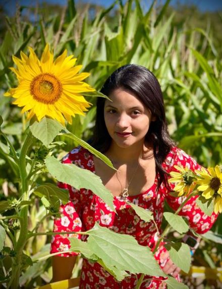 sunflower-festival-near-me-austin-texas-corn-maze-summer-activities-sunflowers--festival-georgetown-roundrock-cedarpark-best-pumpkins-giant-patch-leander-libertyhill-waco-austinsunflowerfest