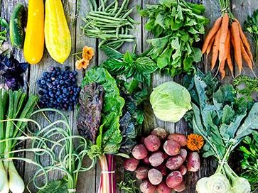 pick-your-own-vegetables-at-sweet-eats-in-georgetown-texas-close-to-Austin