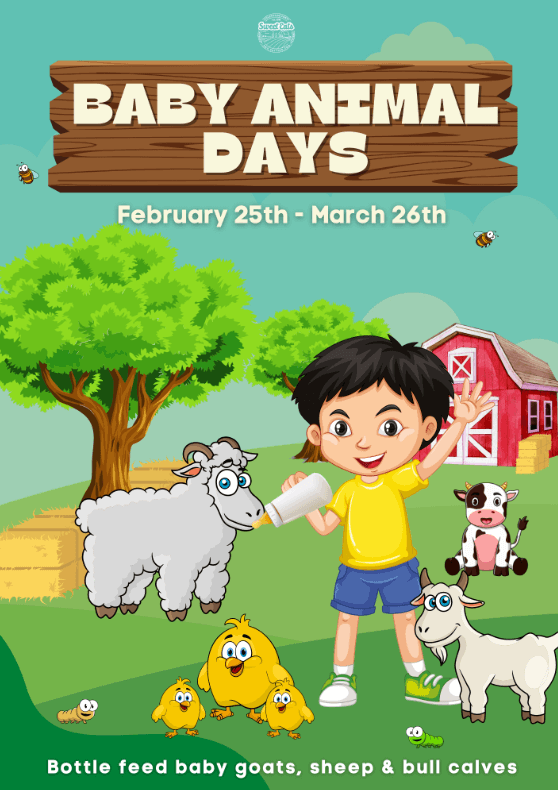easter-egg-hunts-near-austin-texas-family-fun-easter-activities-bunny