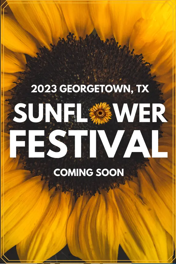 sunflower-festival-in-georgetown-texas-1