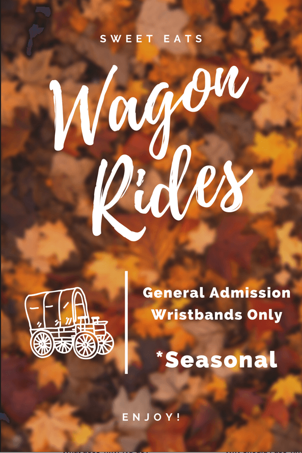 wagon ride (1)