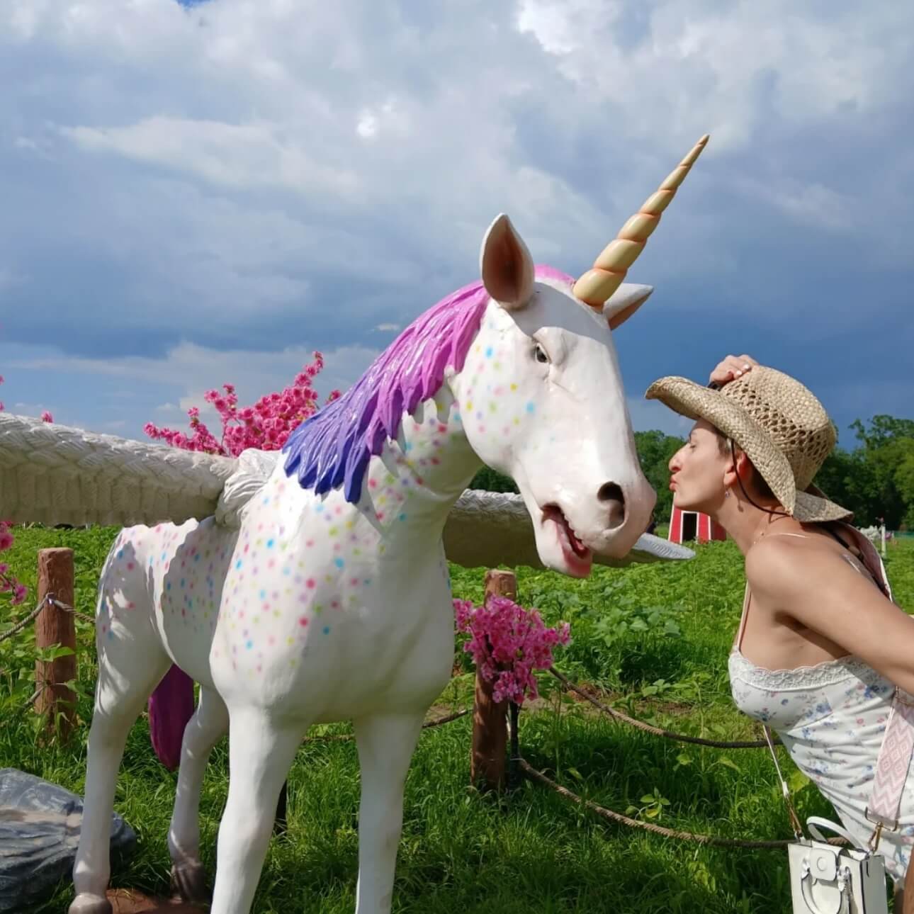 magical unicorn in Georgetown texas