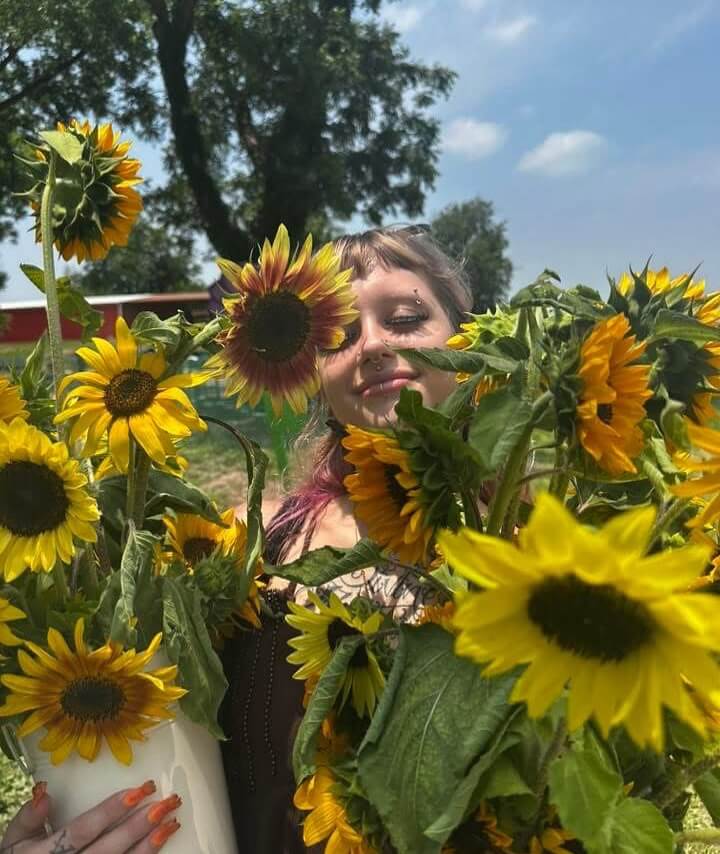 pick your own sunflower austin texas
