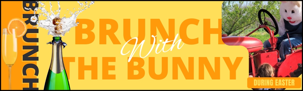 brunch