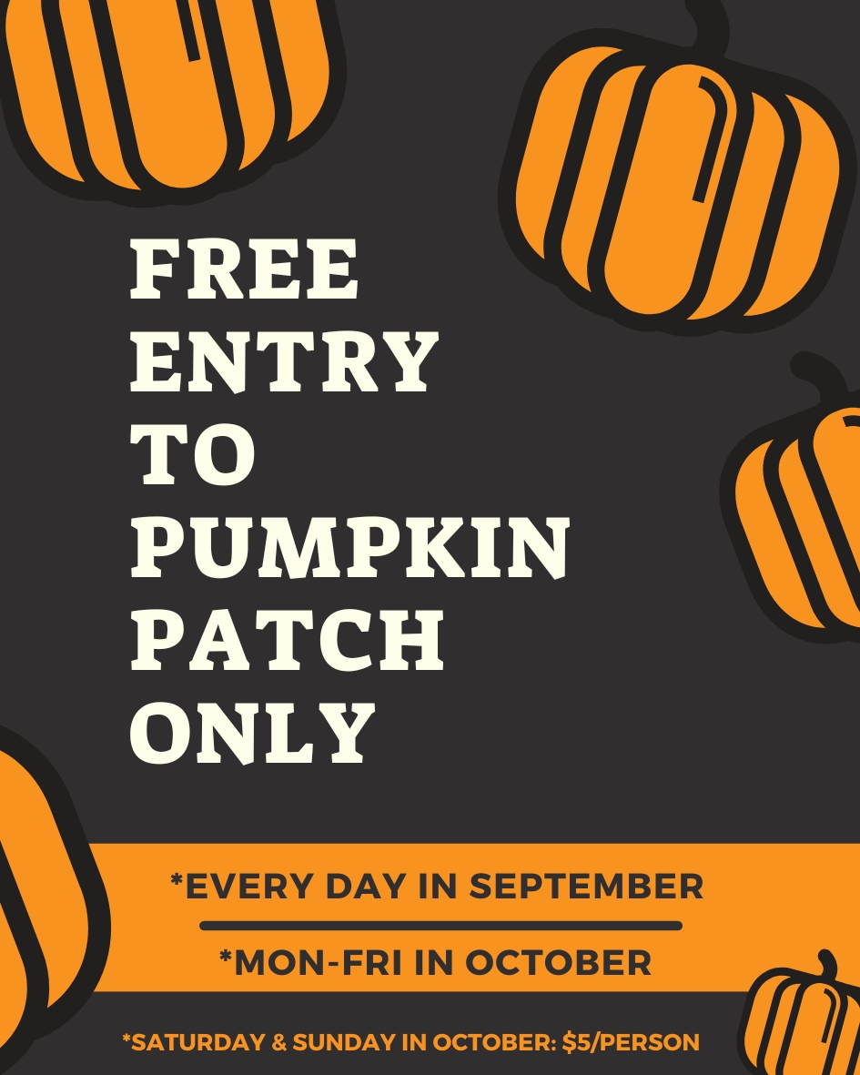 best-free-pumpkin-patch-near-austin-texas-gerogetown-roundrock-pflugerville-hutto