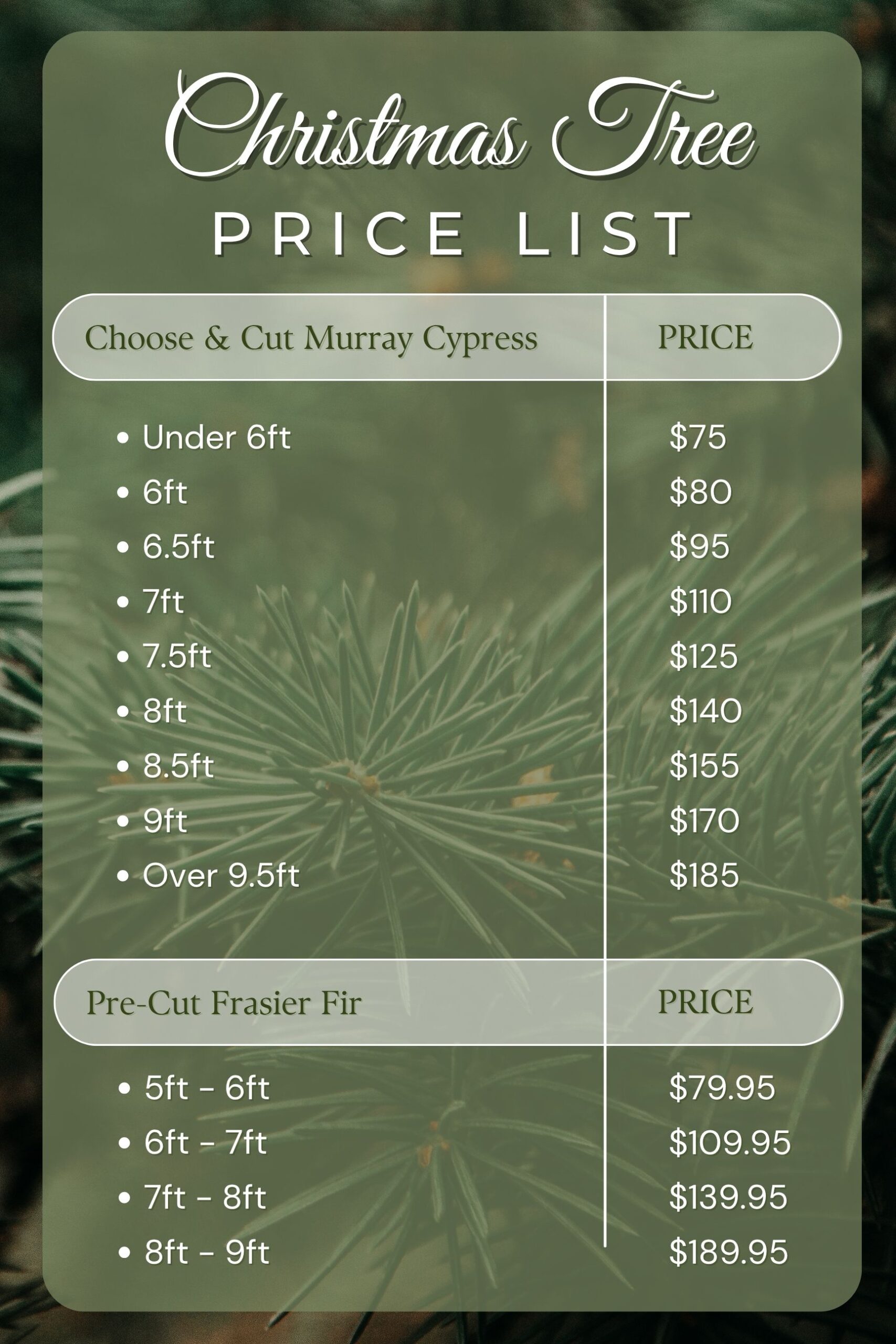 Christmas Tree Pricing