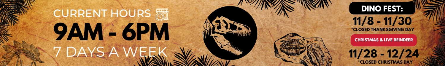 Dinosaur fest austin texas