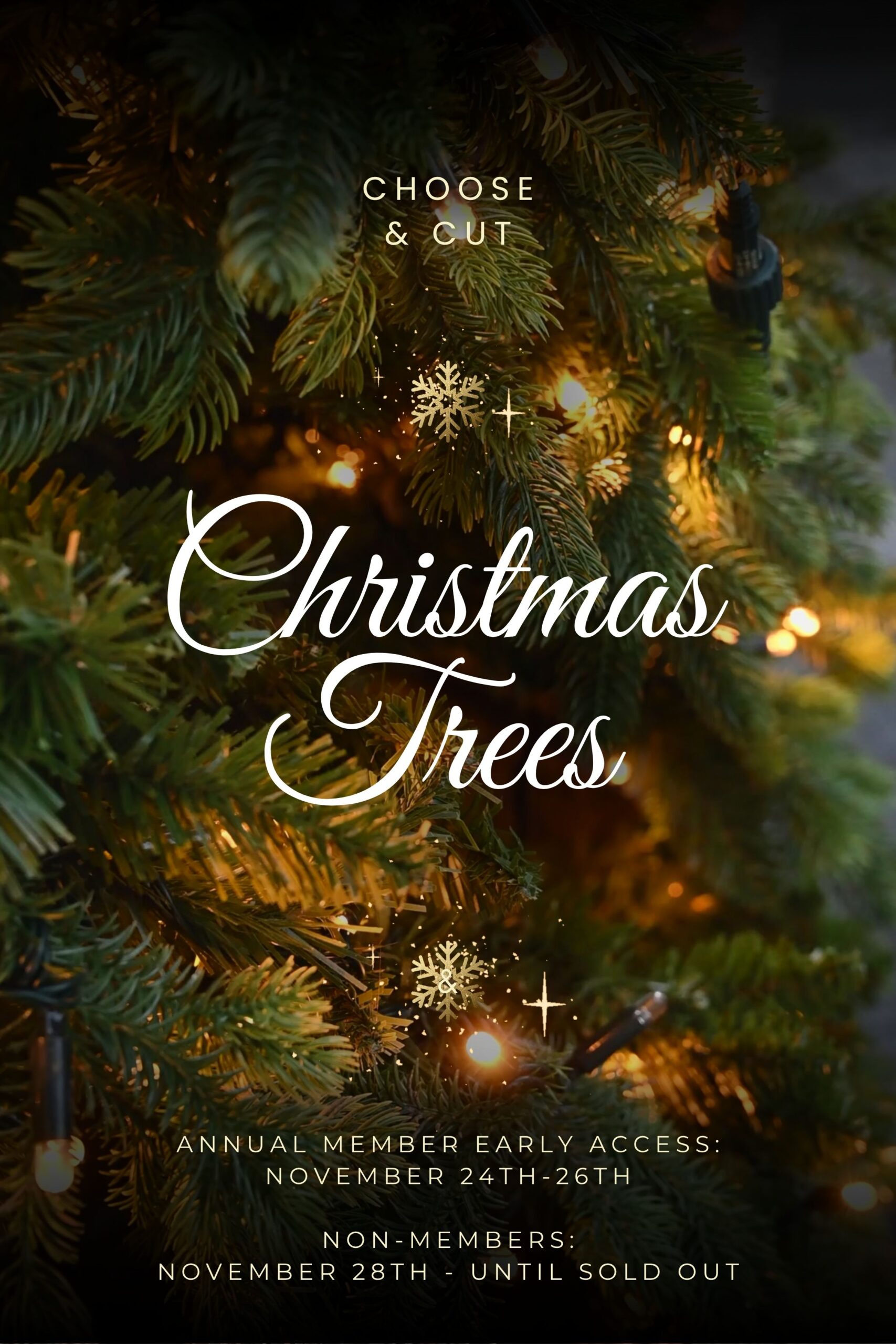 Upcoming Events - Christmas 2025 (6)