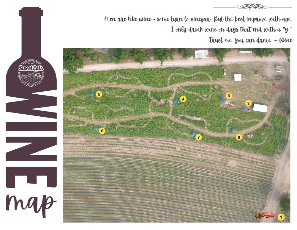 wine your way out of a sunflower field