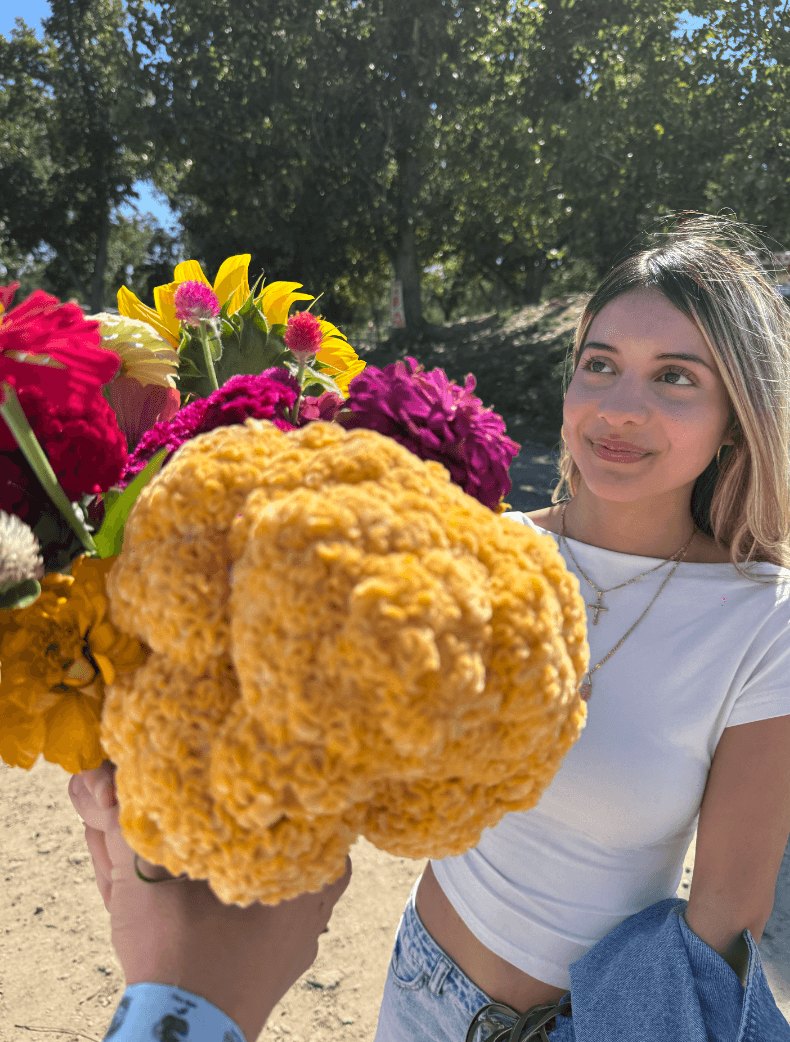 wine your way out of a sunflower field